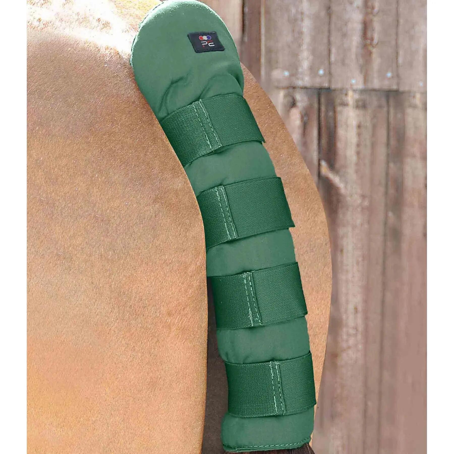 Staartbeschermer voor paarden Premier Equine Stay-Up 2/3