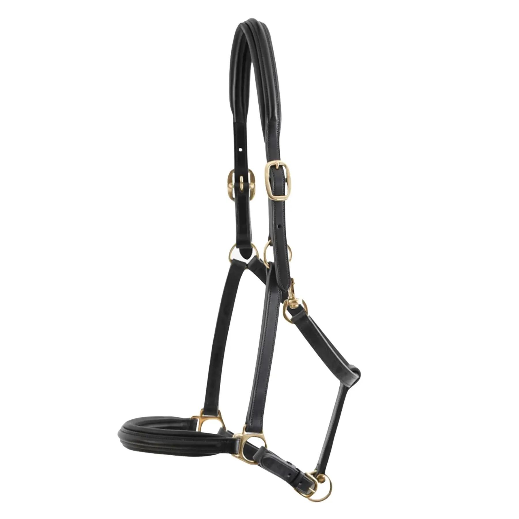 PREMIER EQUINE picture