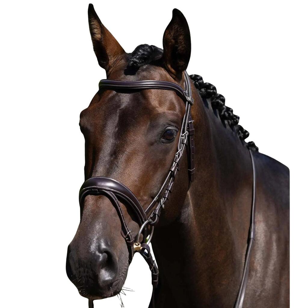 Horse reins Premier Equine Cassano