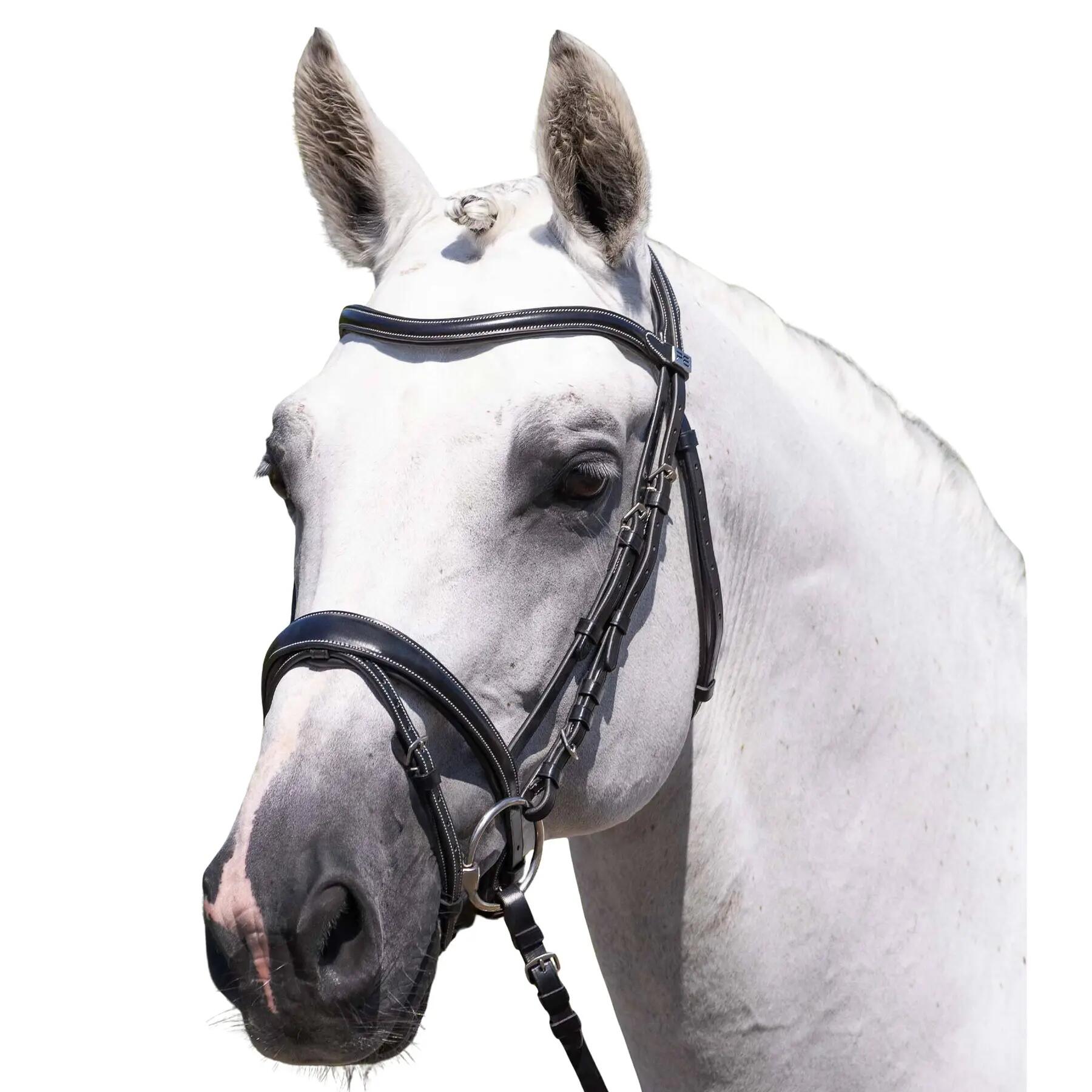 PREMIER EQUINE picture