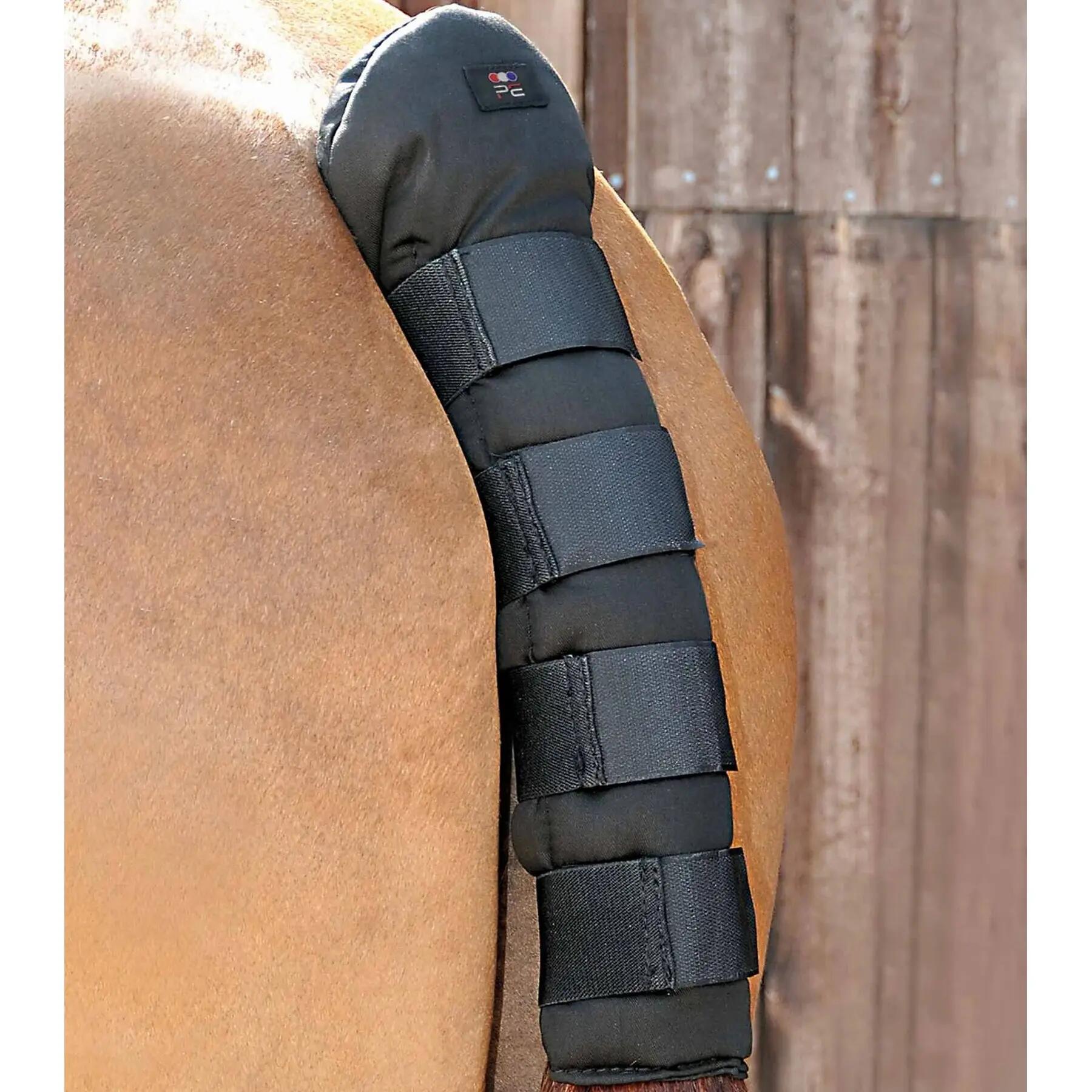 PREMIER EQUINE picture