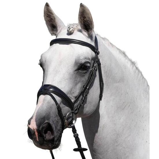 Bridon équitation Premier Equine Artana