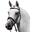 Bridon Premier Equine Artana