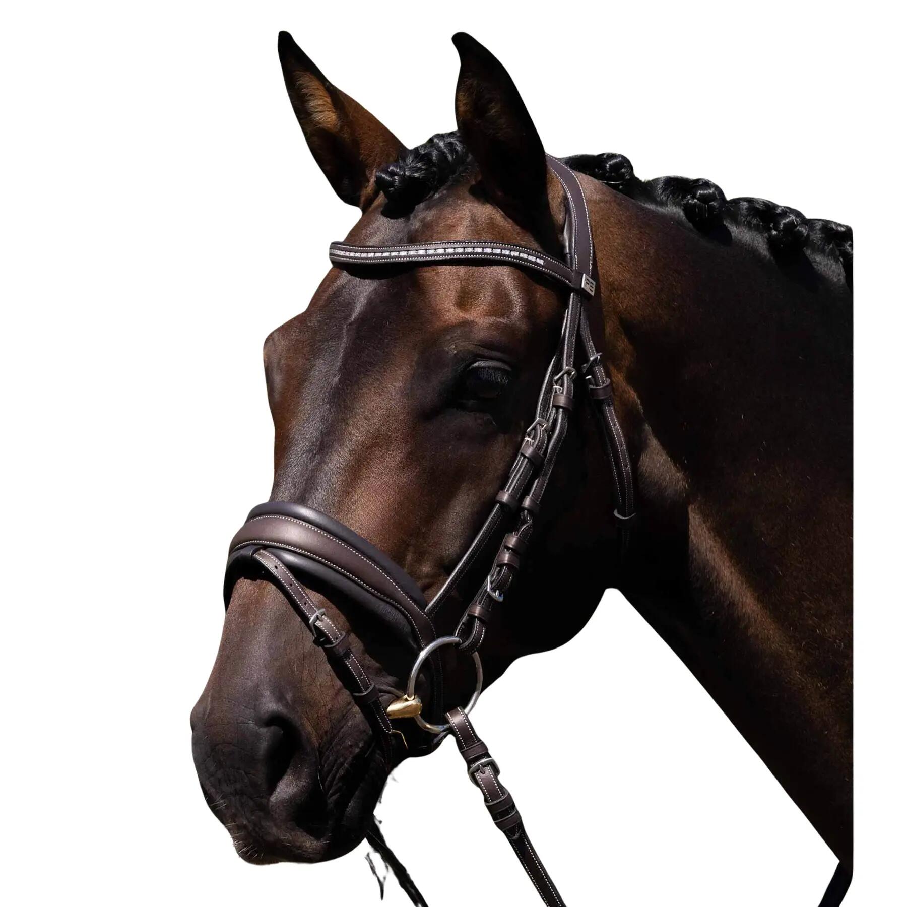 PREMIER EQUINE picture