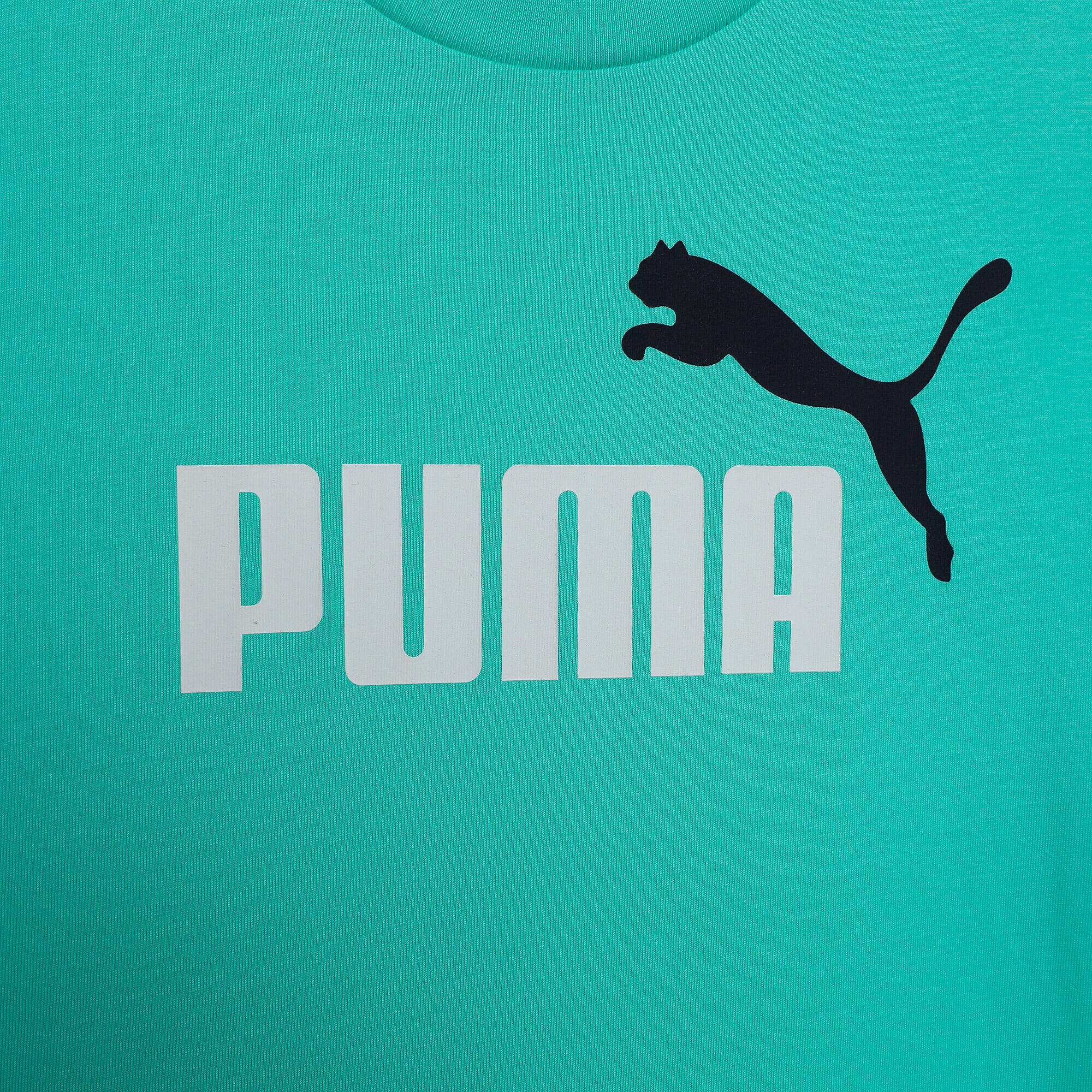 Koszulka Puma Ess 2 Color No.1 Logo Tee B, Dzieci 3/4