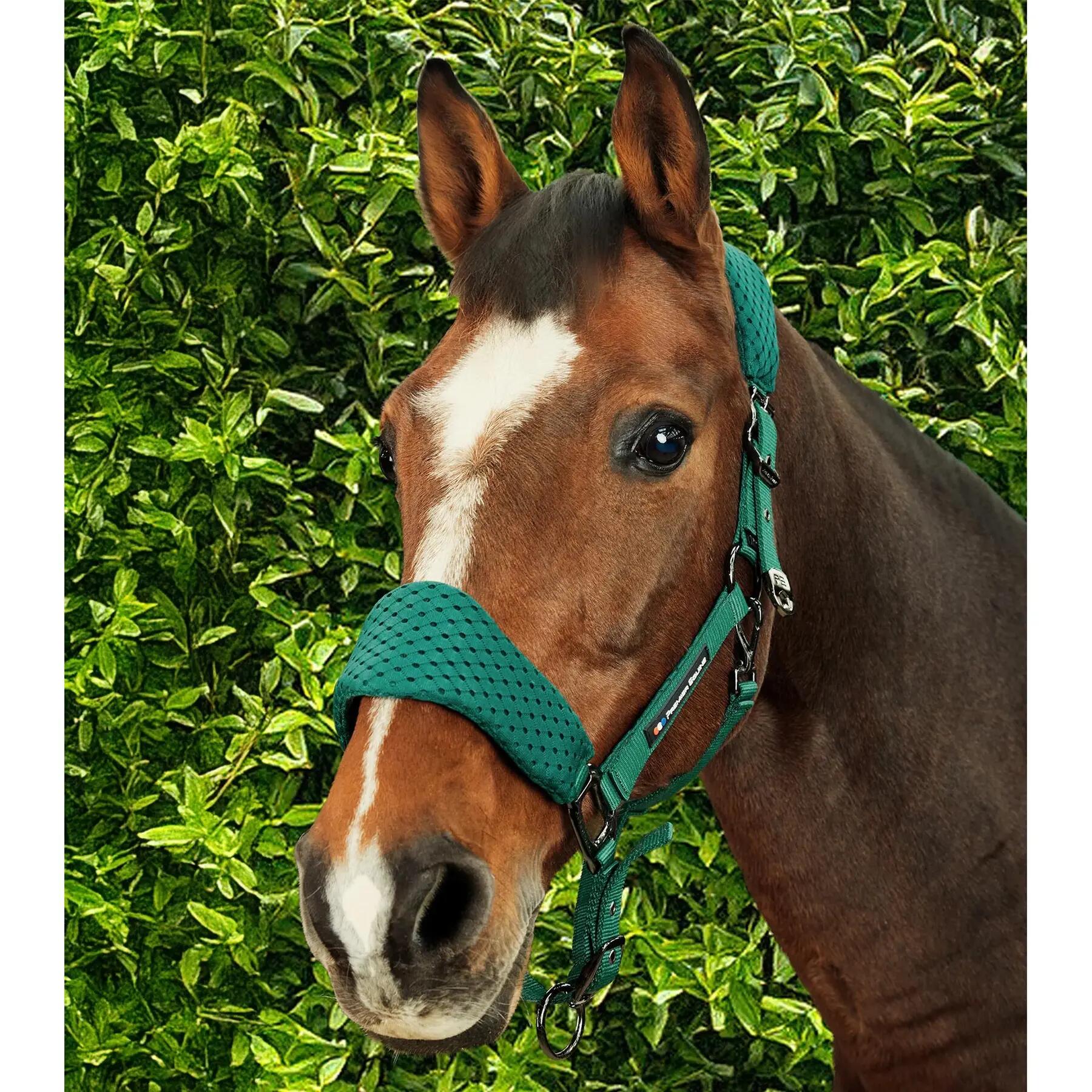 Licol nylon pour cheval Premier Equine Necto 3D 2/6