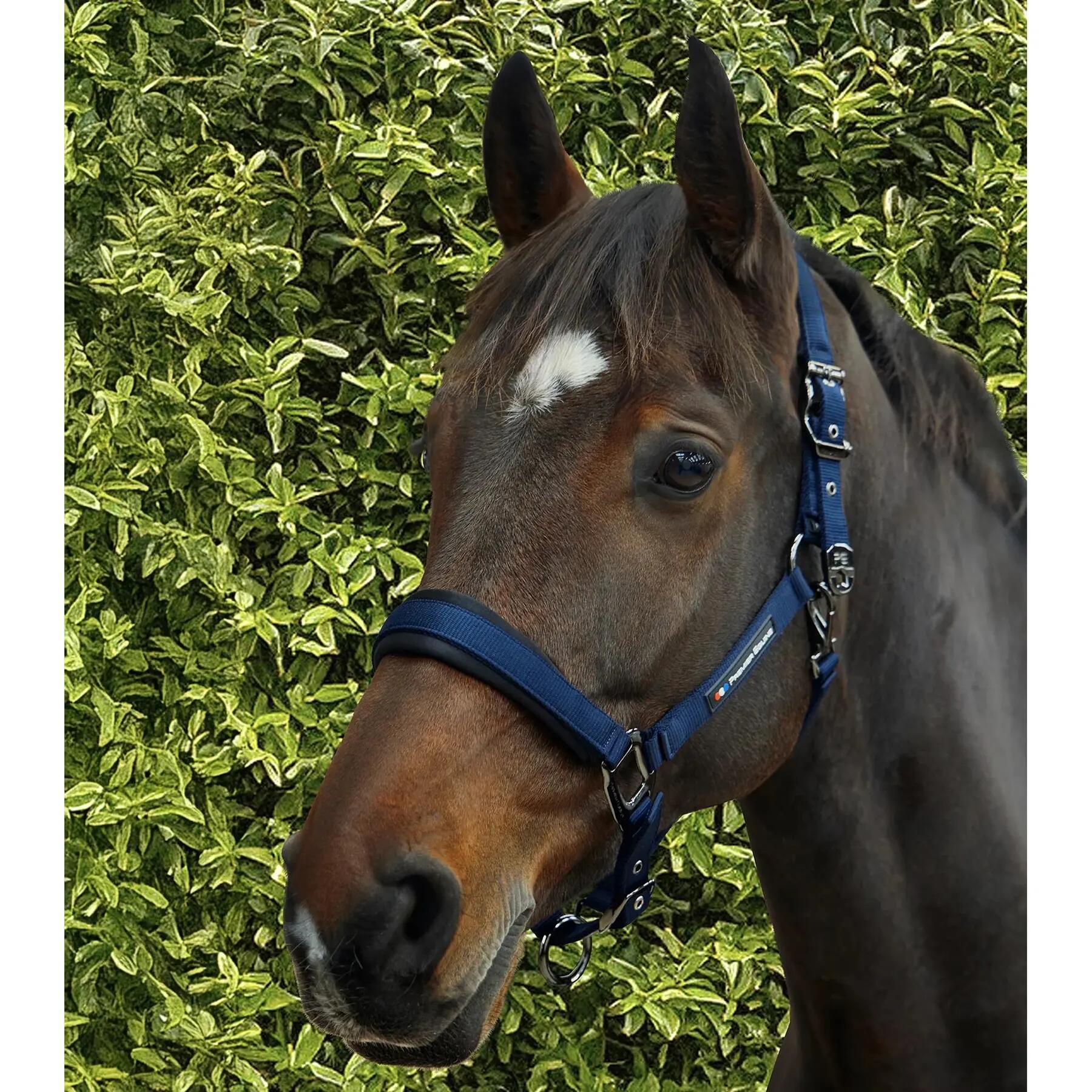 Licol nylon pour cheval Premier Equine Corda 2/6