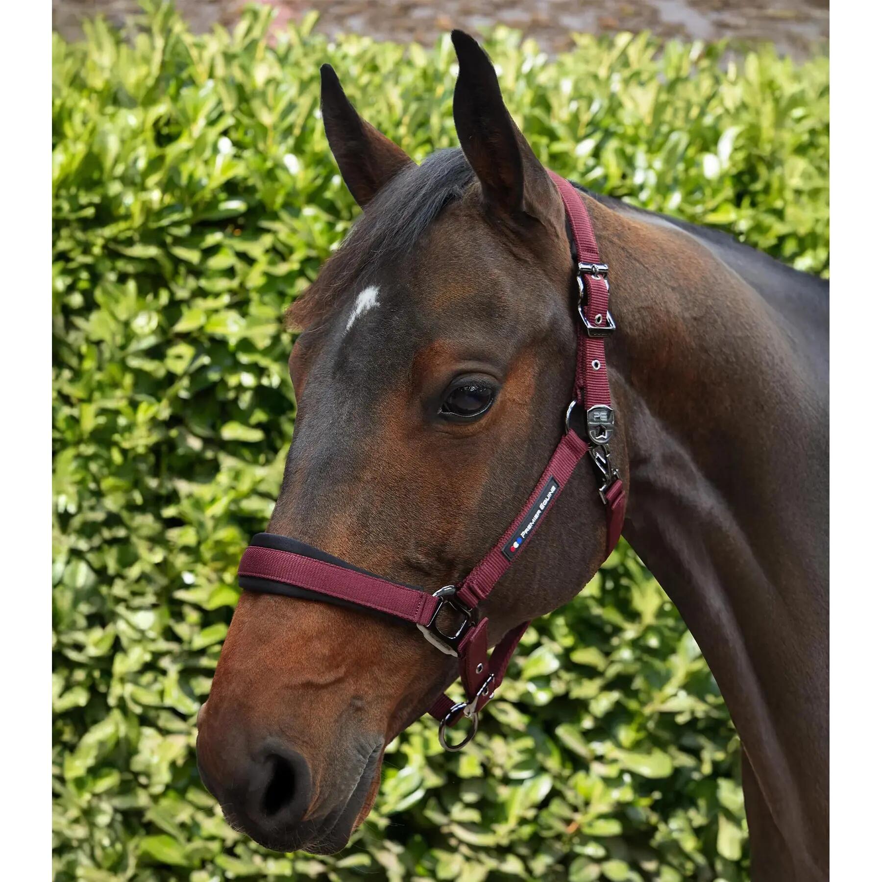 Licol nylon pour cheval Premier Equine Corda 3/6