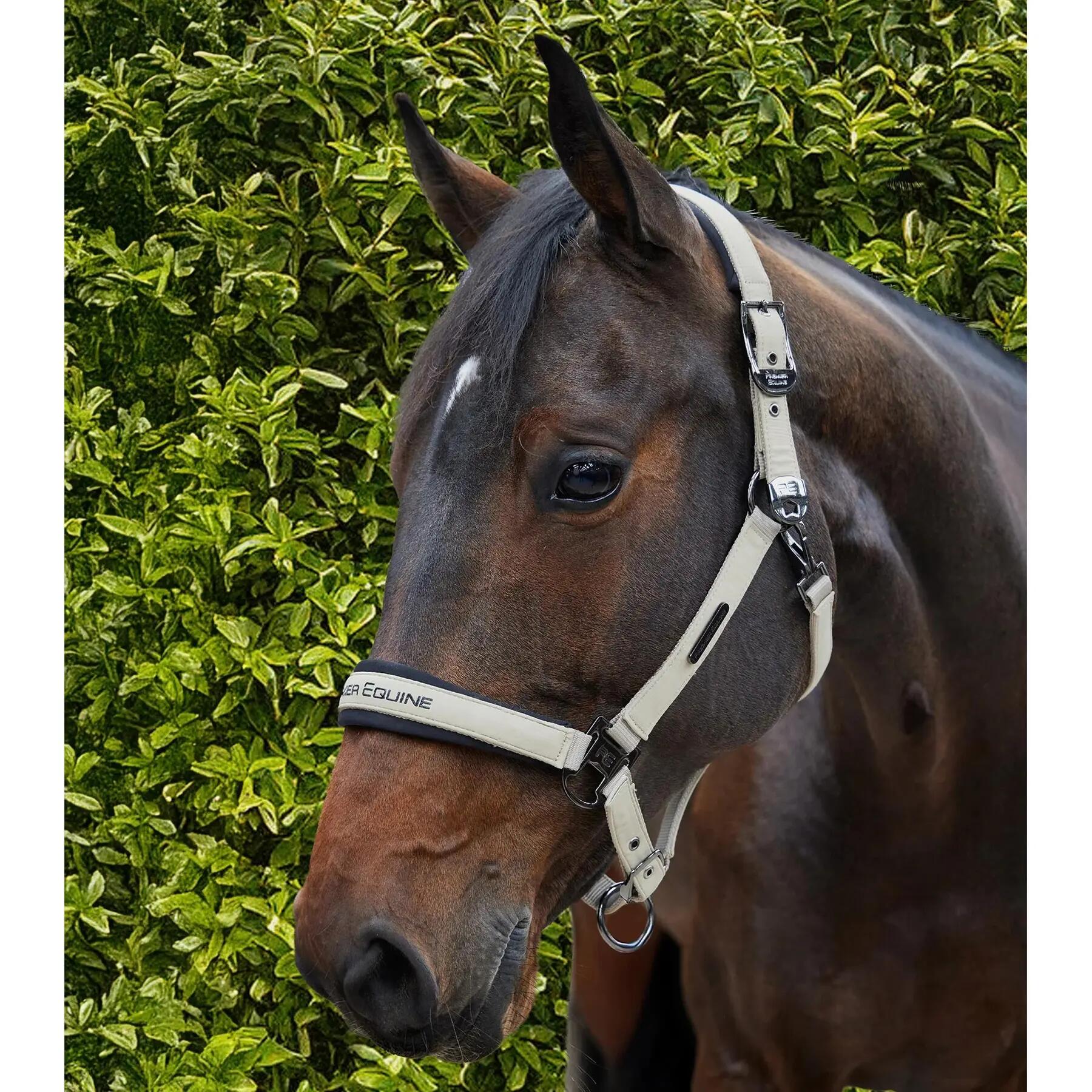 Licol nylon pour cheval Premier Equine Duco 3/6