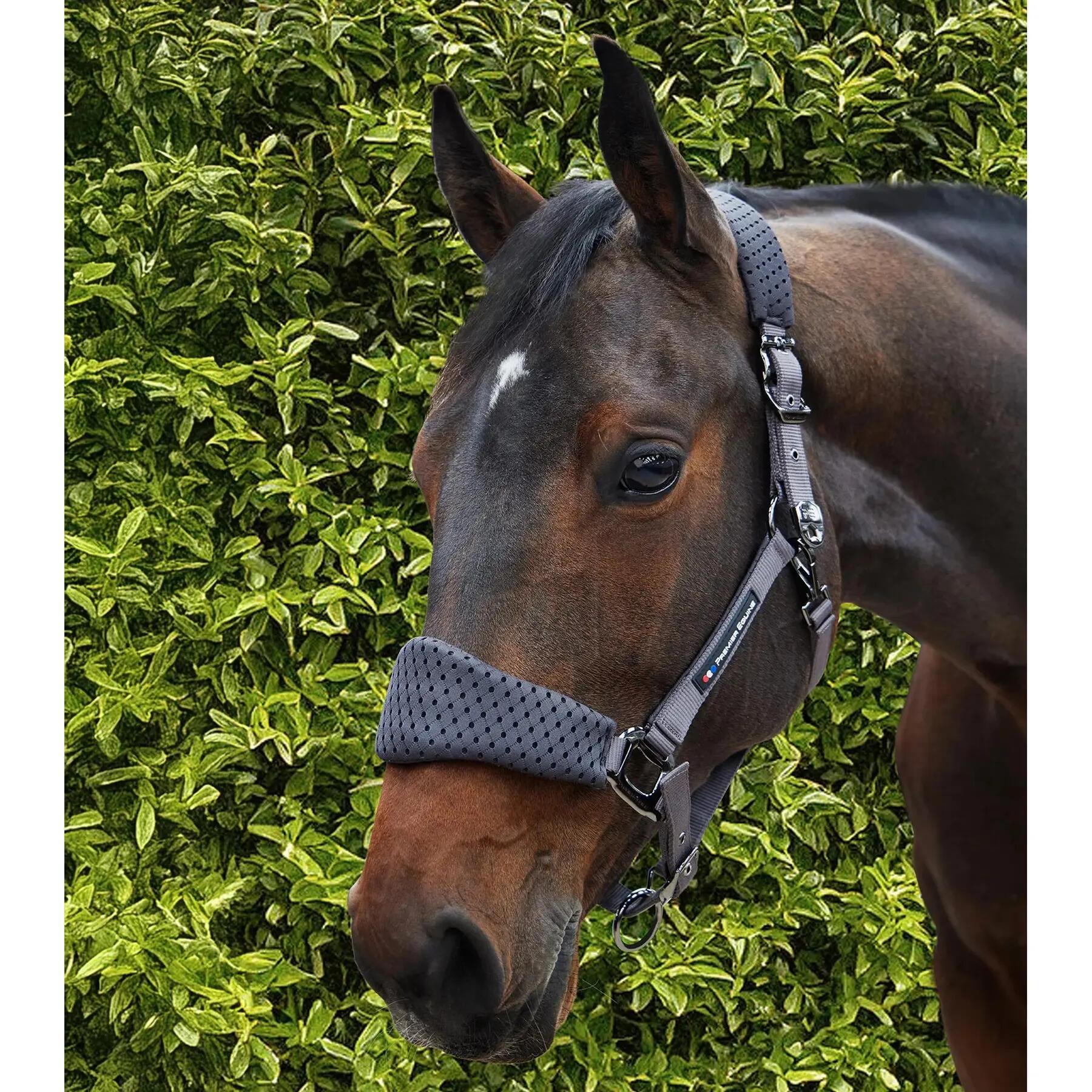 Nylon halster voor paard Premier Equine Necto 3D 2/6