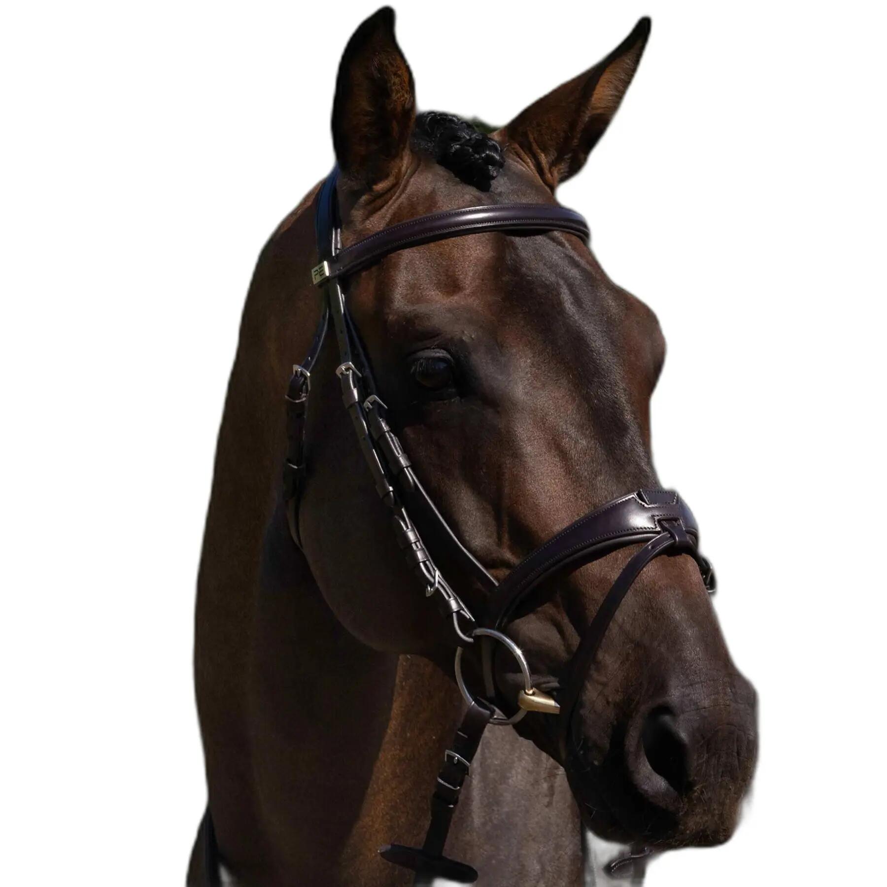 PREMIER EQUINE picture
