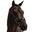 Bridon Anatomical + Premier Equine + Artana