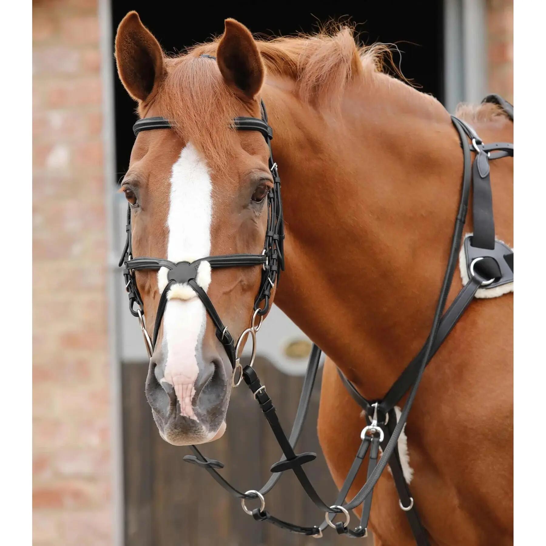 Redini per cavalli in gomma Premier Equine Stay-Up 4/4