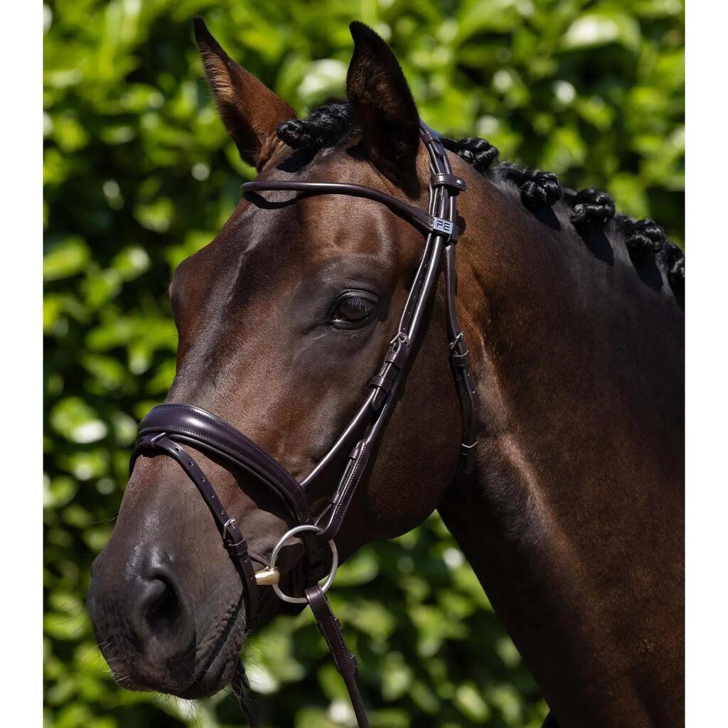 Riding bridle Premier Equine Finetti