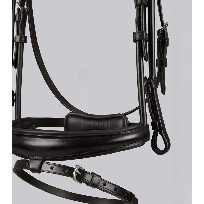 Bride echitație Premier Equine Finetti