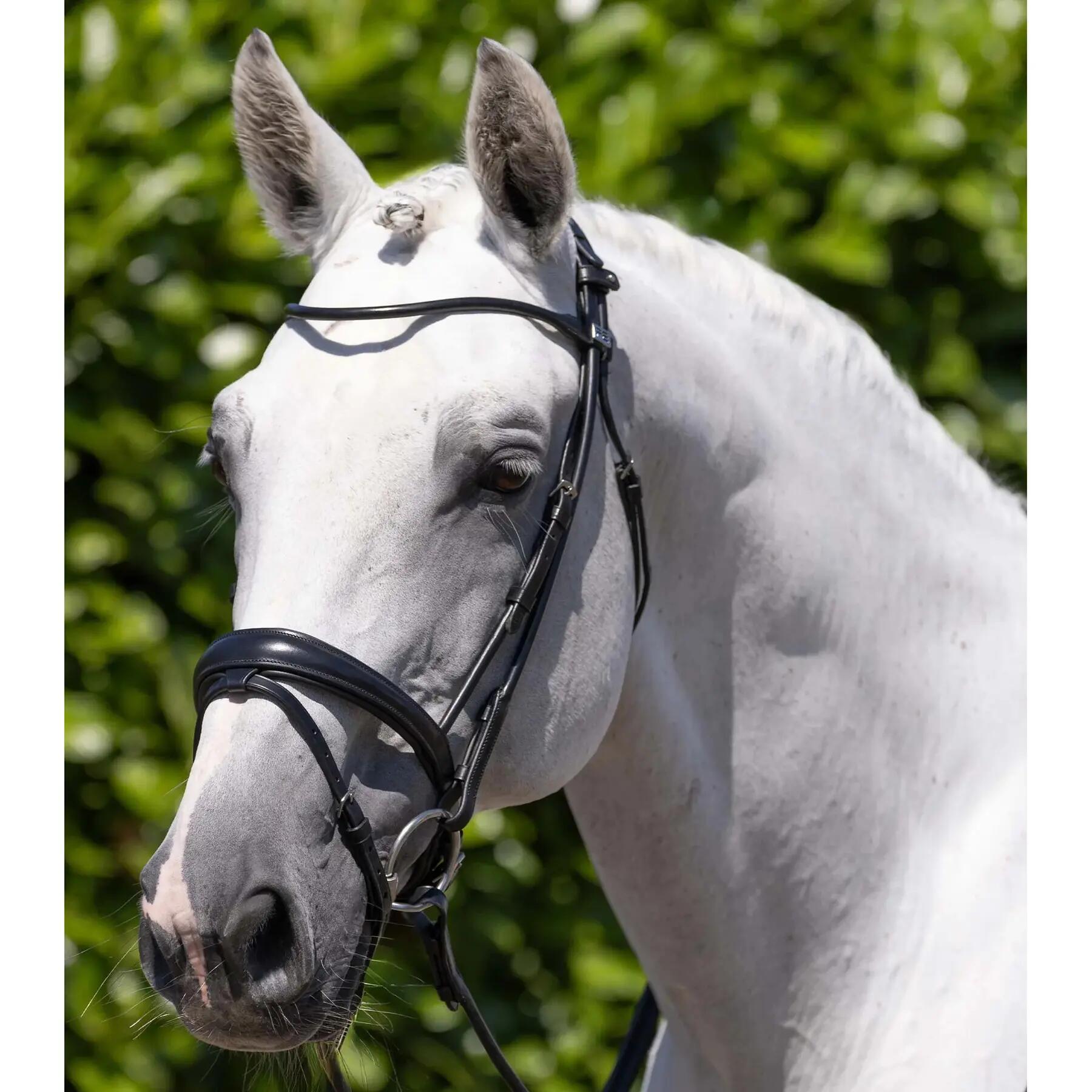 Sella da equitazione Premier Equine Finetti 2/5