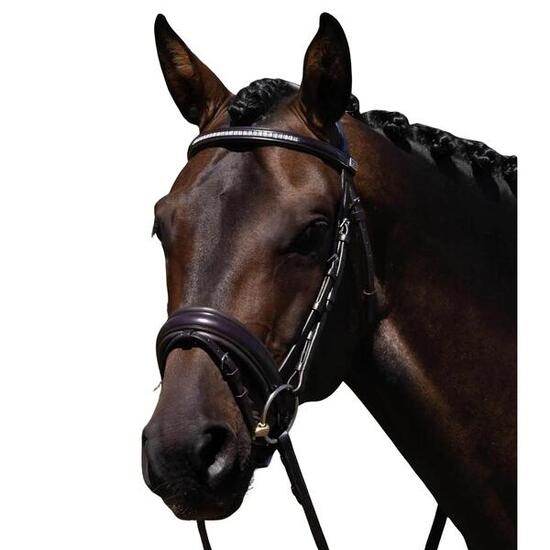 Bride équitation anatomique Premier Equine Castello