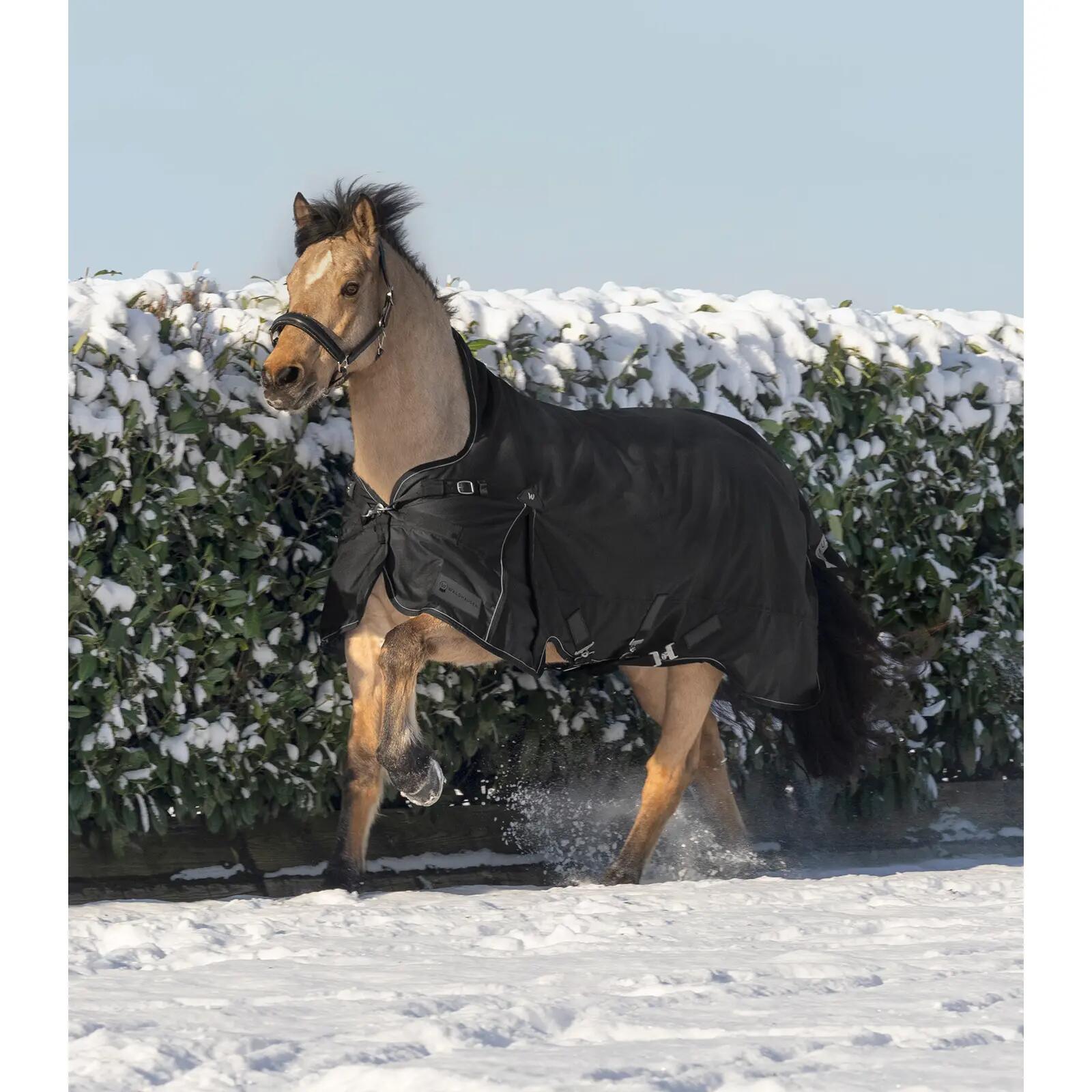 Manta de exterior para caballo con cuello alto Waldhausen Scandic 0g 3/4