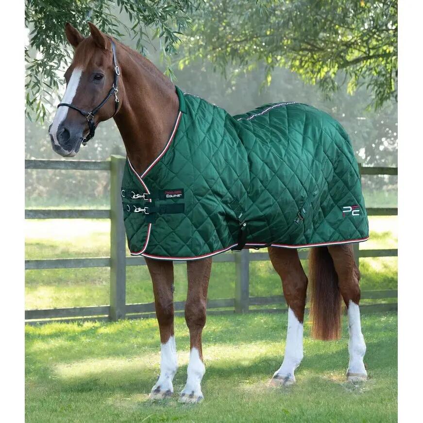 PREMIER EQUINE picture