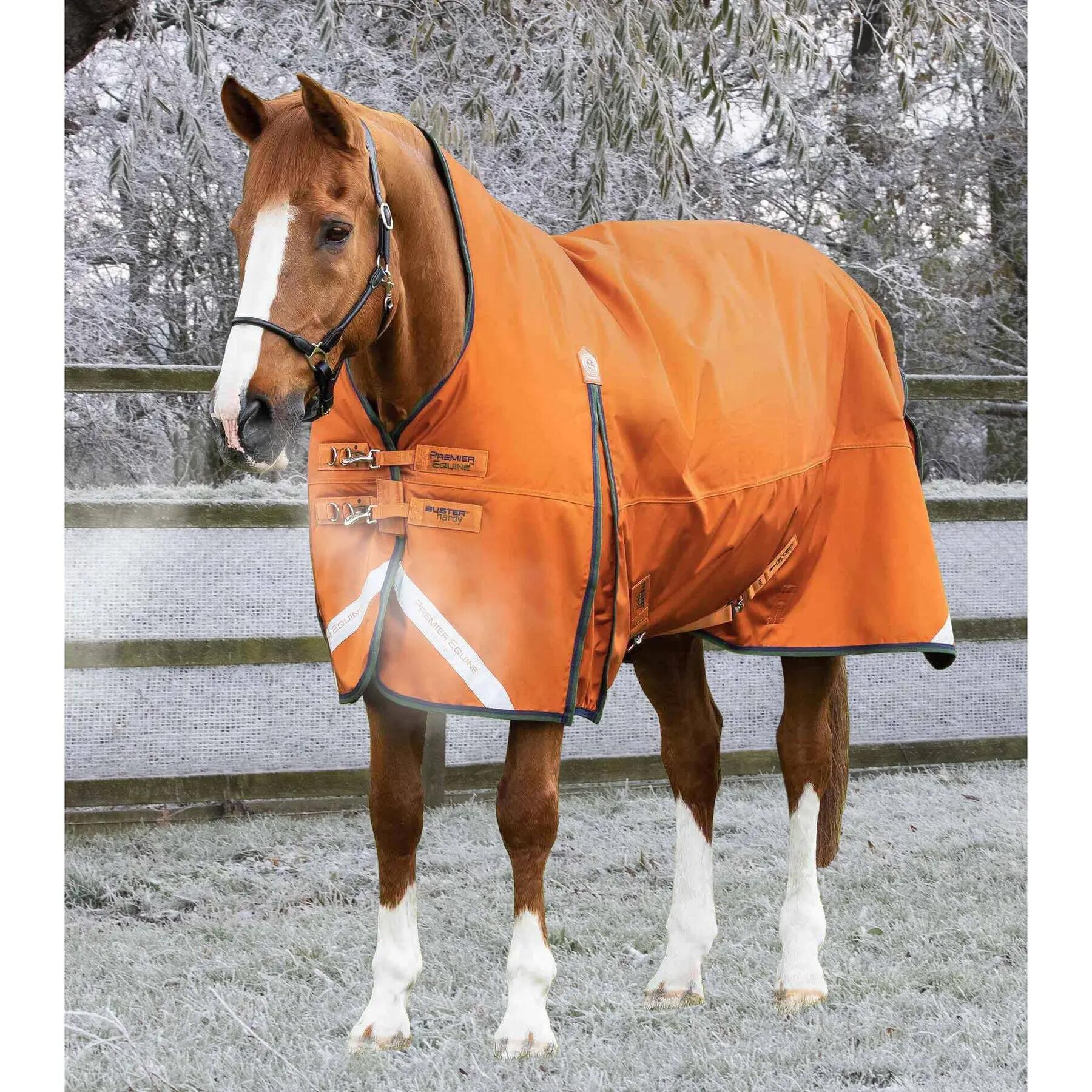 Coperta da esterno per cavalli Premier Equine Buster Hardy 400 g 1/7