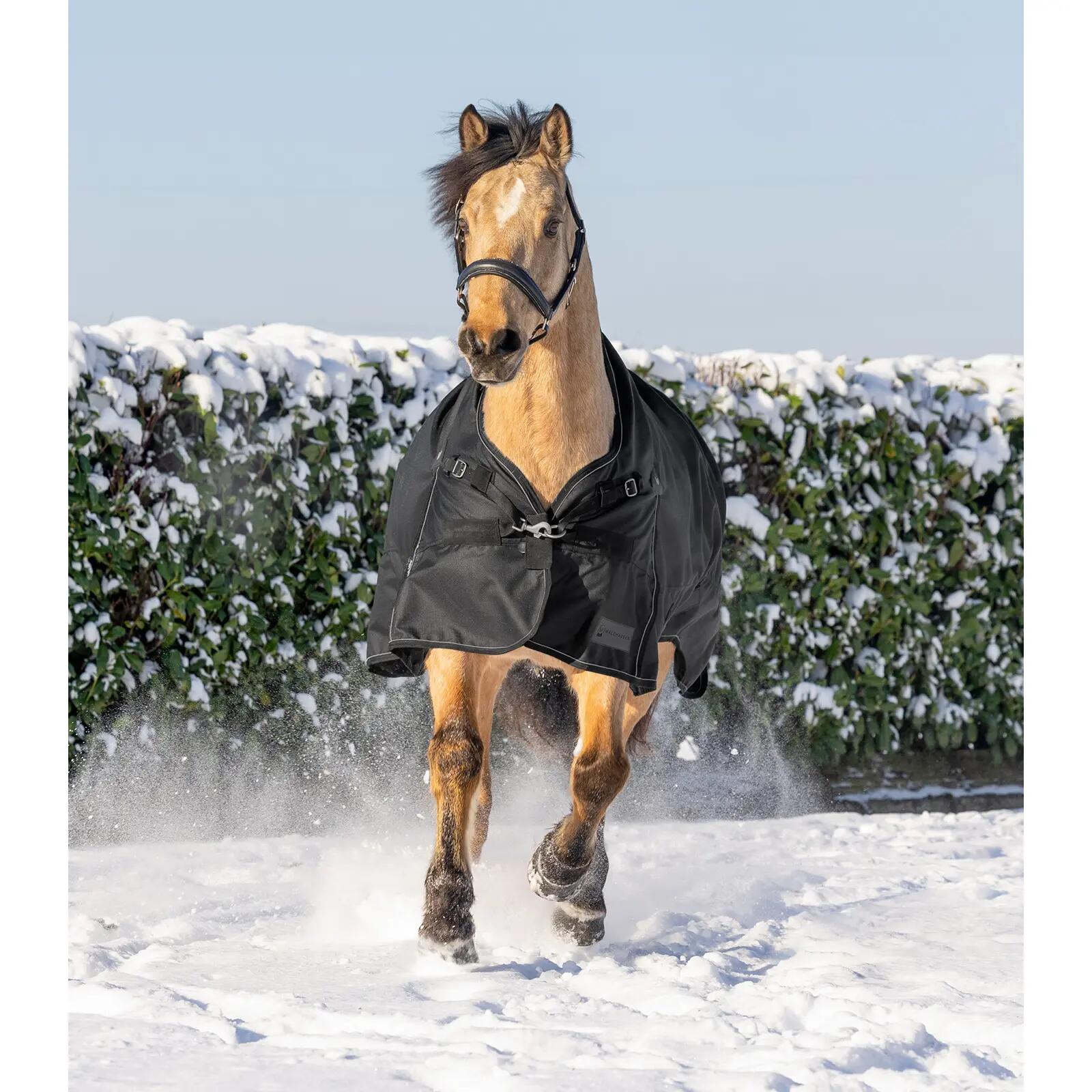 Manta de exterior para caballo con cuello alto Waldhausen Scandic 0g 4/4