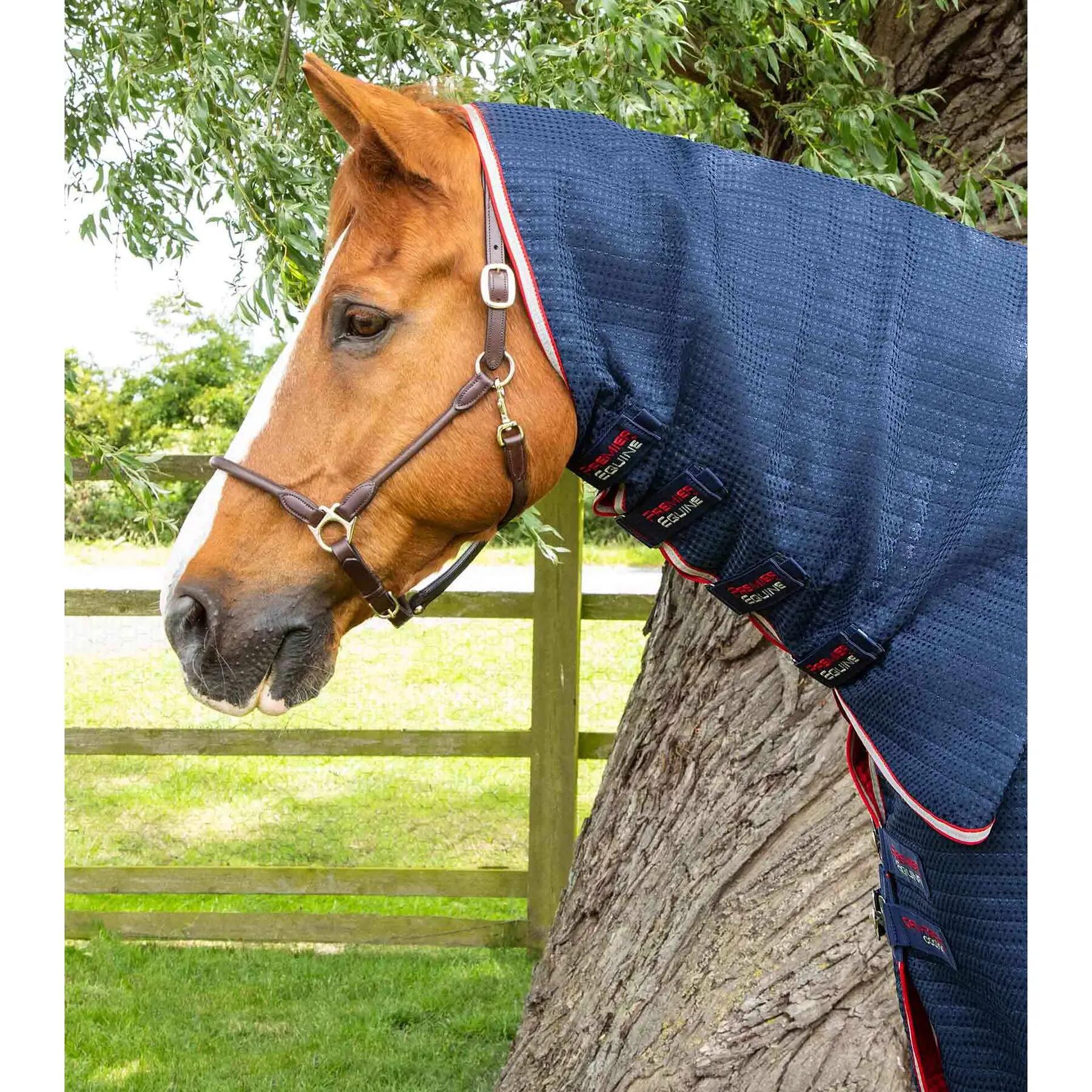 Coperta asciugante con copricollo Premier Equine Dry-Tech 2/5