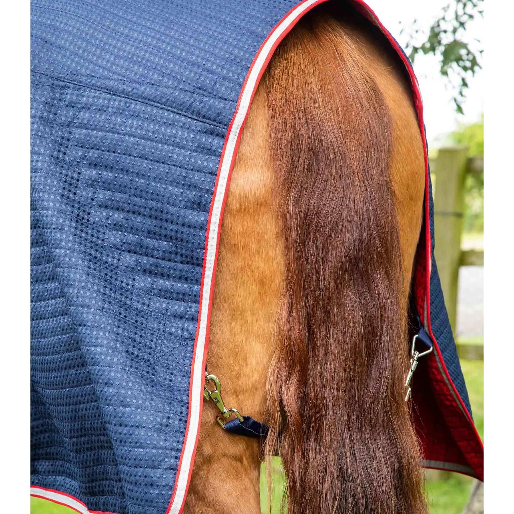 Coperta asciugante con copricollo Premier Equine Dry-Tech 5/5