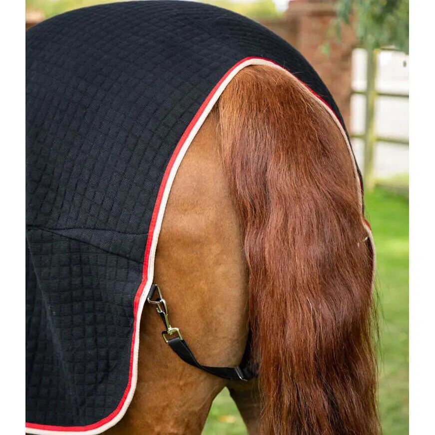 Manta de secado para caballo Premier Equine Premtex 5/5