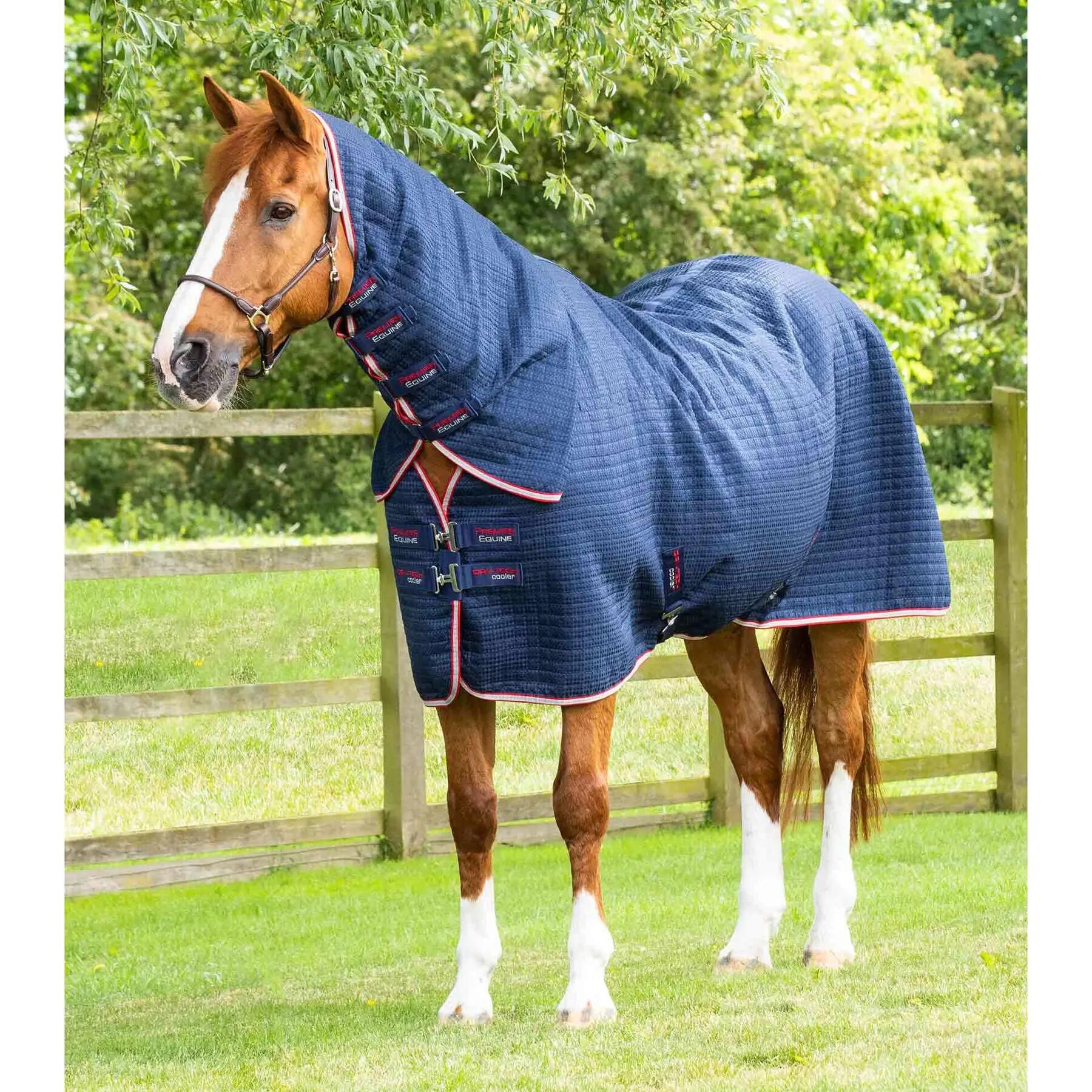 PREMIER EQUINE picture