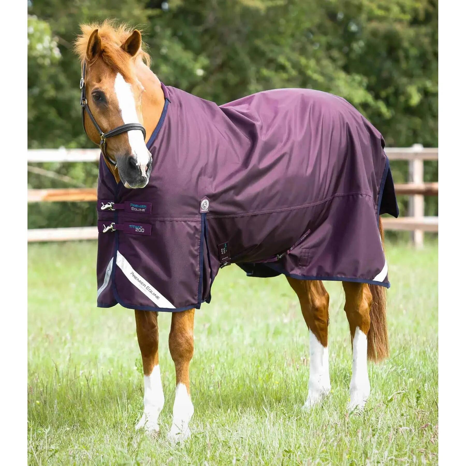 PREMIER EQUINE picture