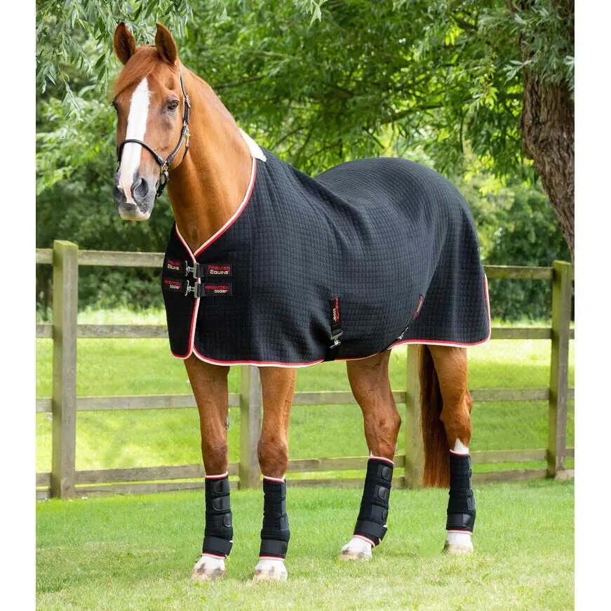 Manta de secado para caballo Premier Equine Premtex 1/5