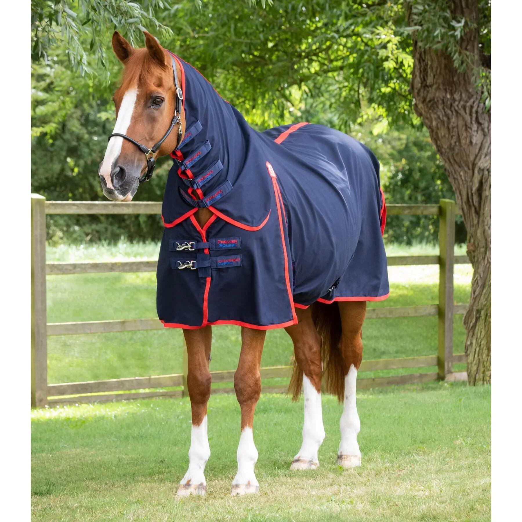 PREMIER EQUINE picture