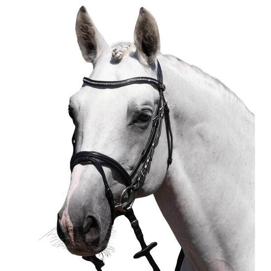 Bridon équitation Premier Equine Rivere