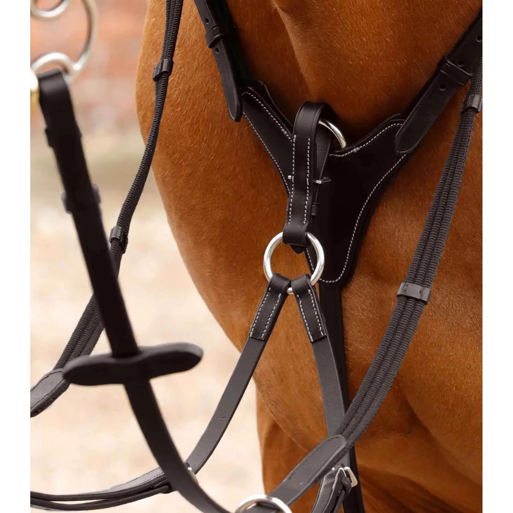 Jachthalsband voor paarden Premier Equine Norbello 3/3