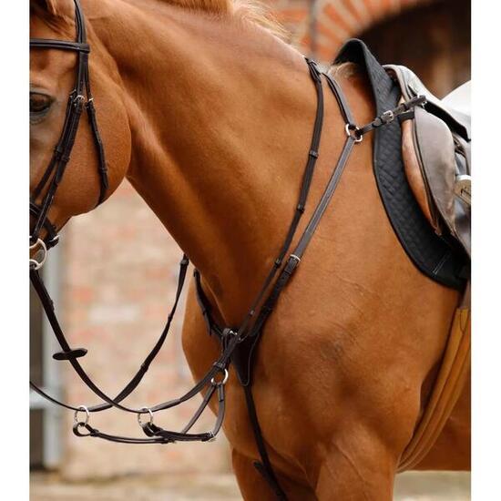 Collier de chasse pour cheval Premier Equine Norbello