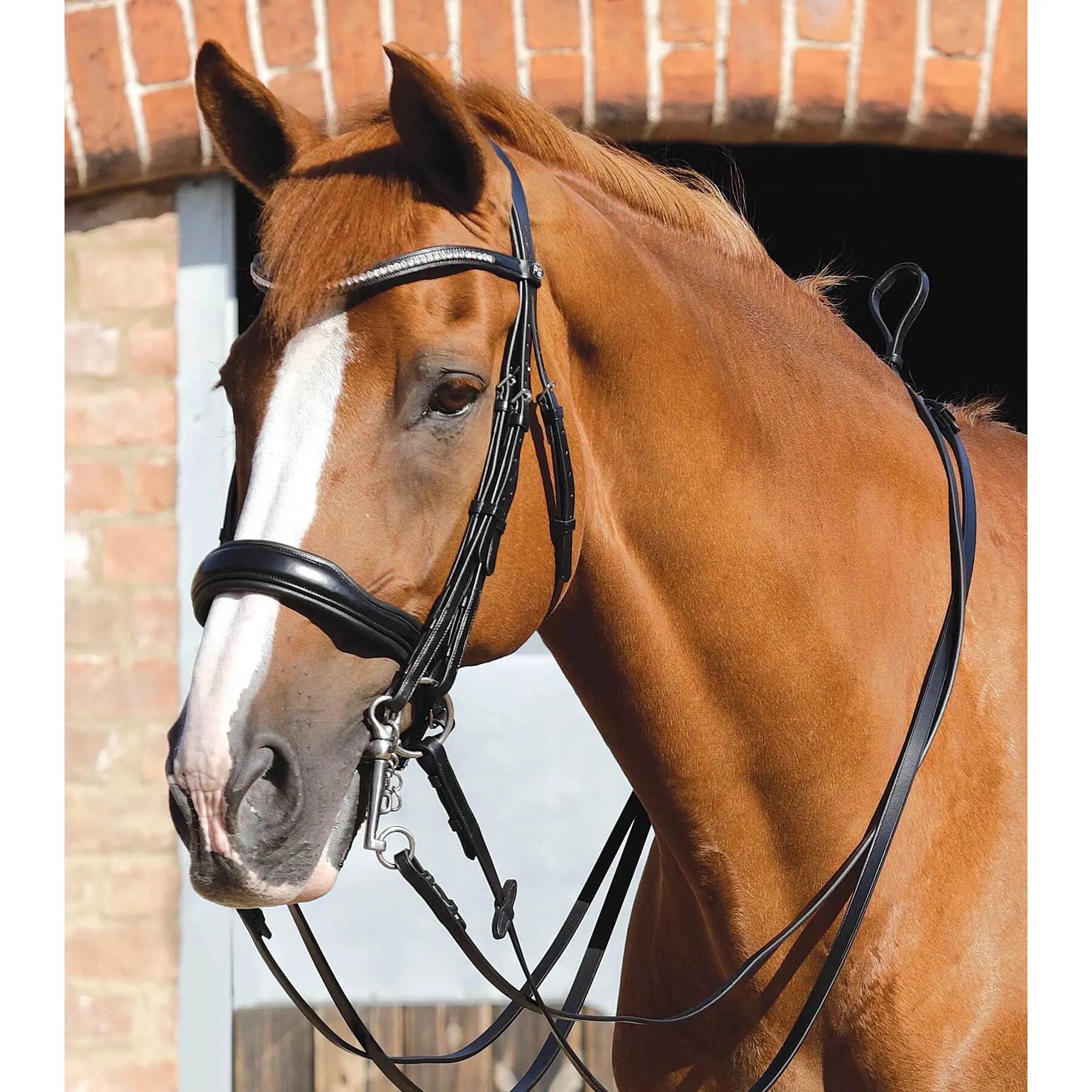Horse Reins Premier Equine Senado 4/6