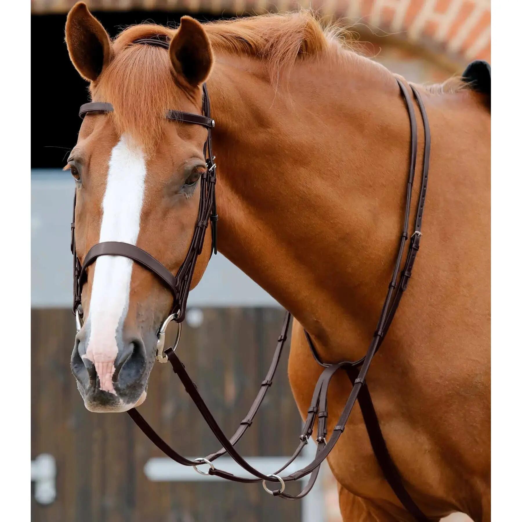 Martingala de carreras ajustable Premier Equine Santadi 2/4