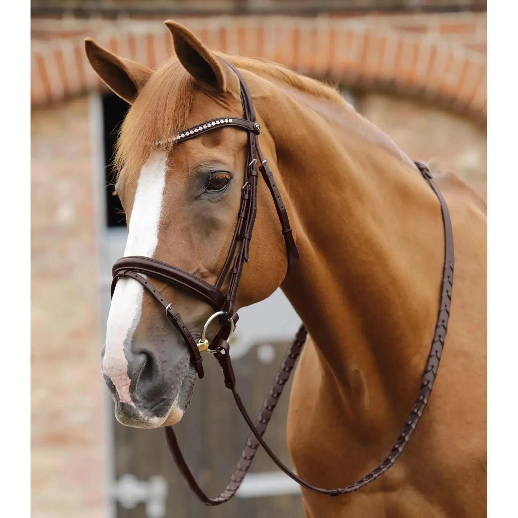 Redini per cavalli allacciate Premier Equine Pietro 2/4
