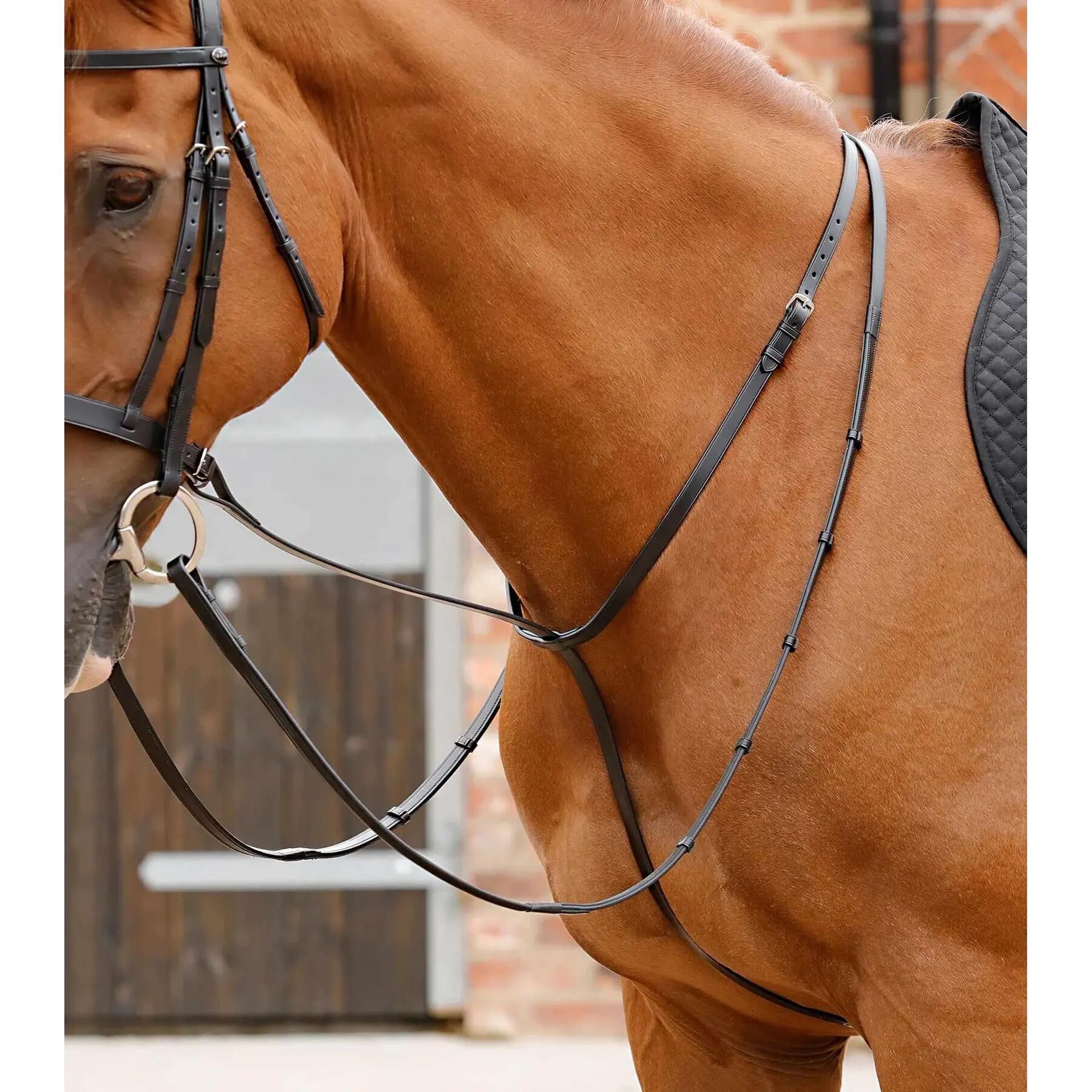 Martingale for horse Premier Equine Gressan 2/4