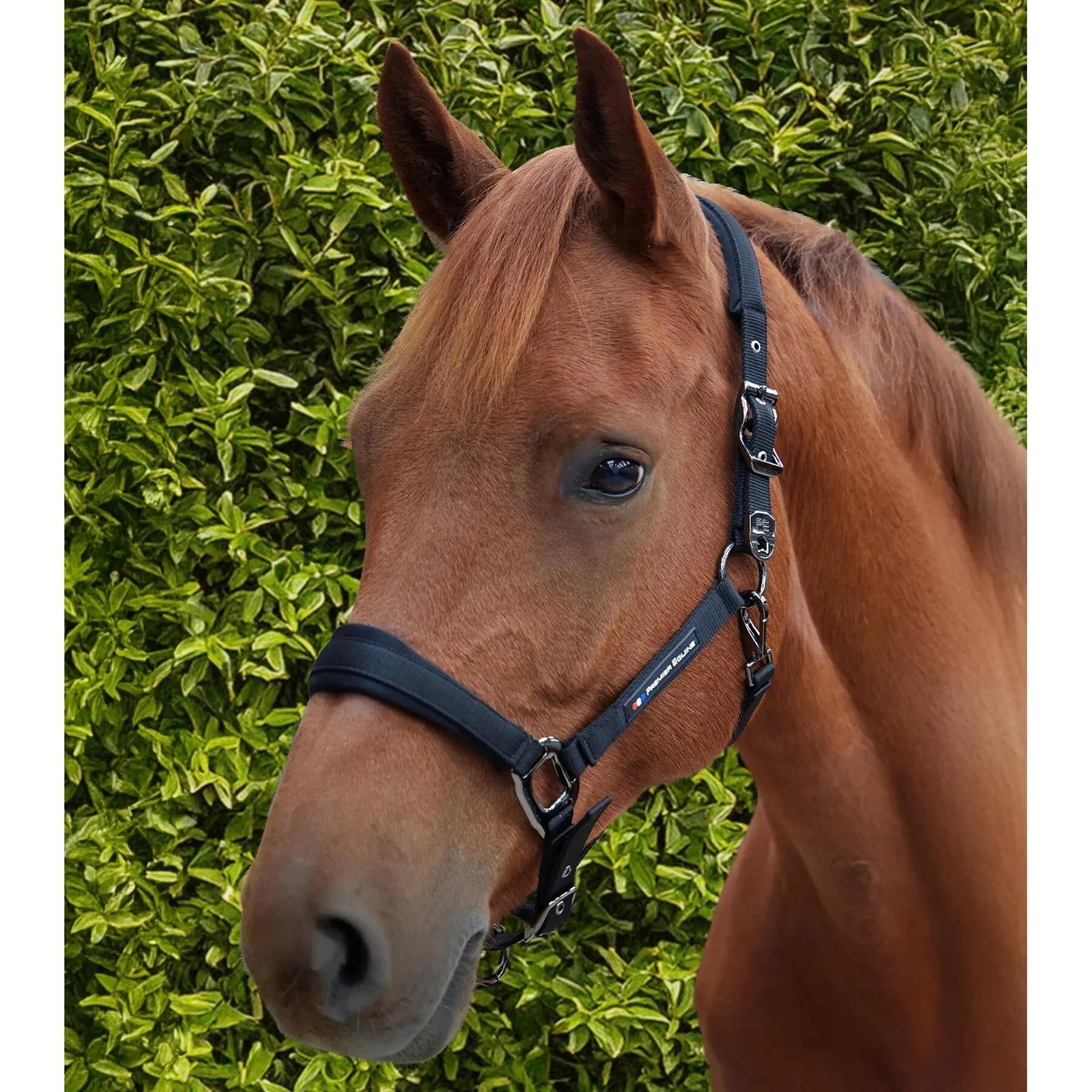 Nylon halster voor paard Premier Equine Corda 2/6