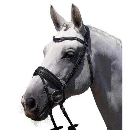 Bride équitation Premier Equine Veneto