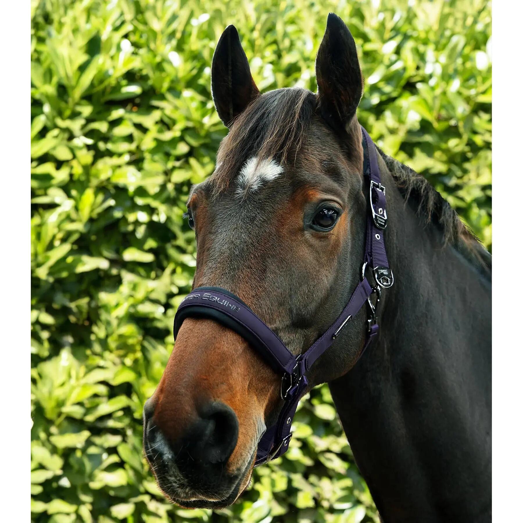 Nylonhalfter für Pferde Premier Equine Duco 3/6