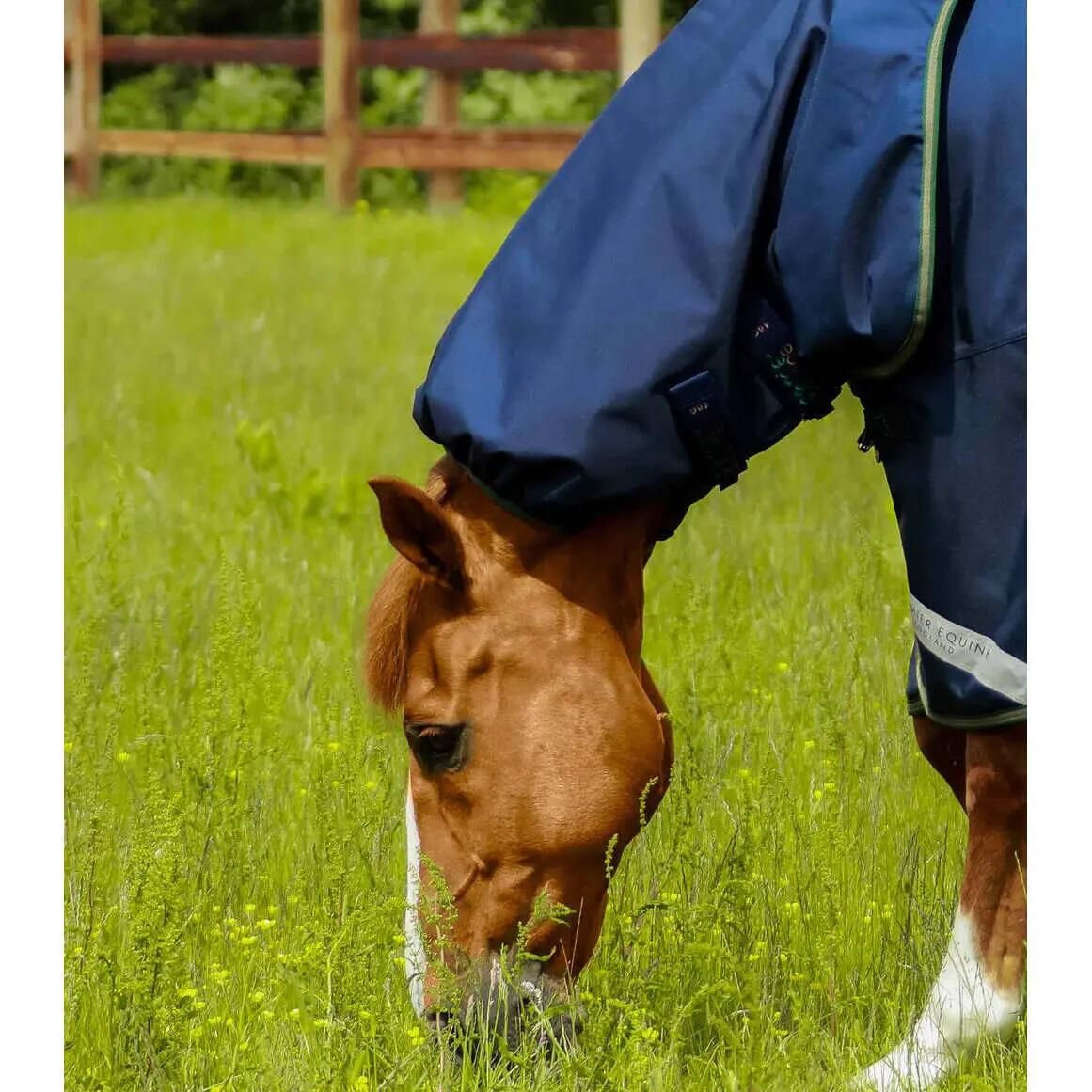 Coperta da esterno per cavalli con copricollo Premier Equine Titan 40 g 2/6