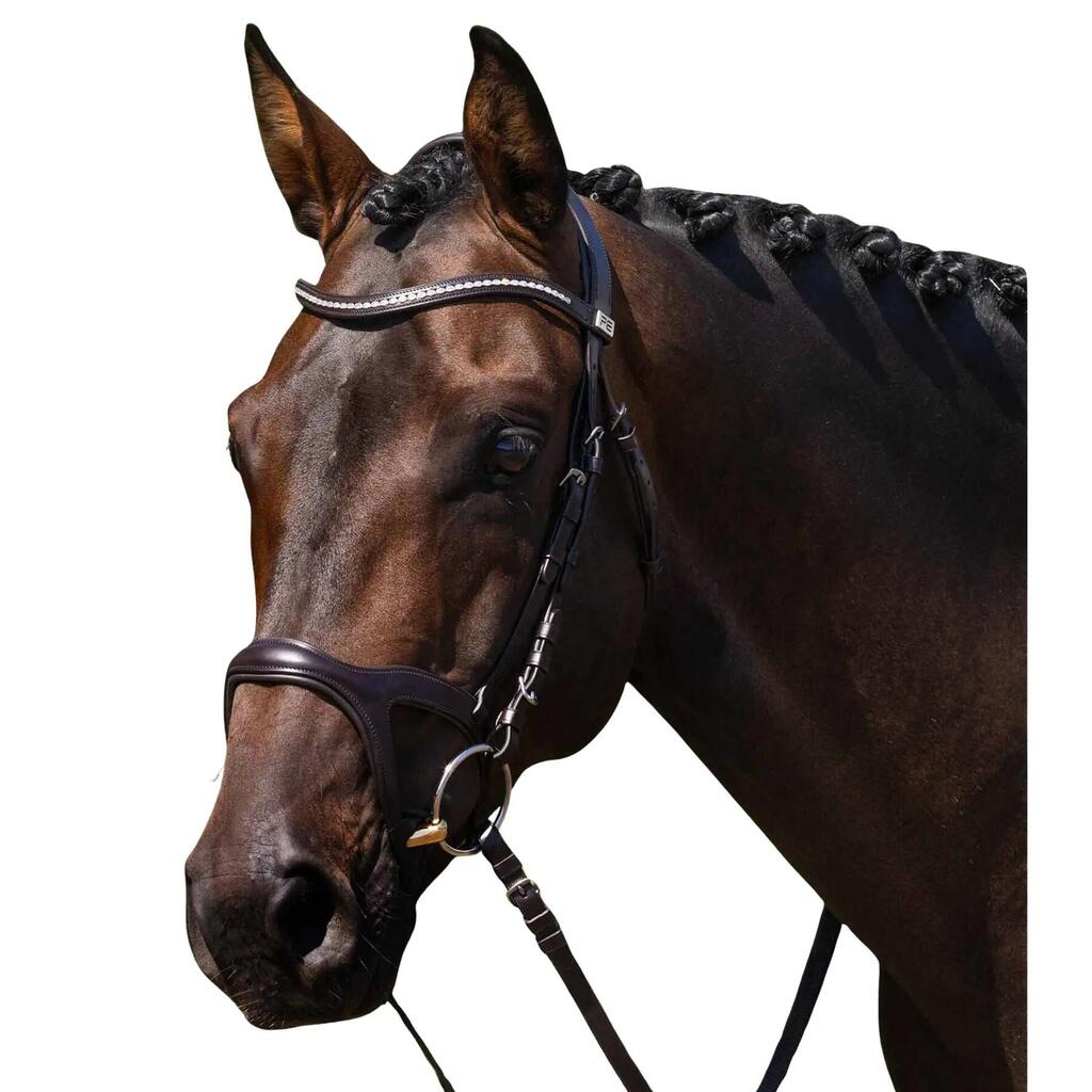 Riding bridle Premier Equine San Paolo