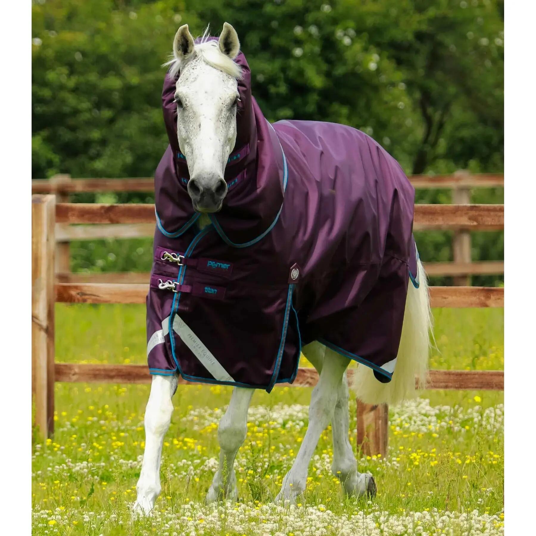 PREMIER EQUINE picture