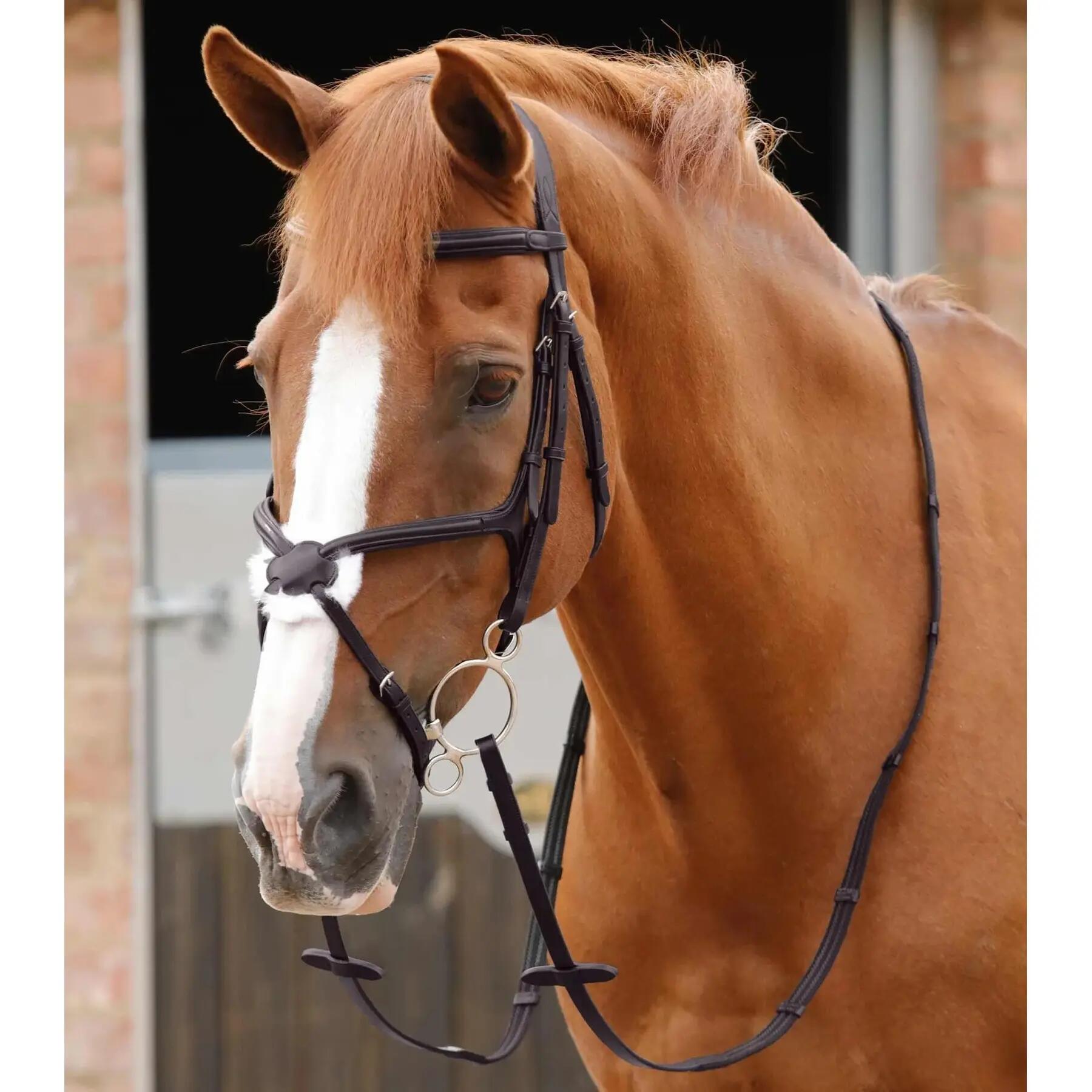 Redini per cavalli in gomma e grip Premier Equine Domenico 3/4