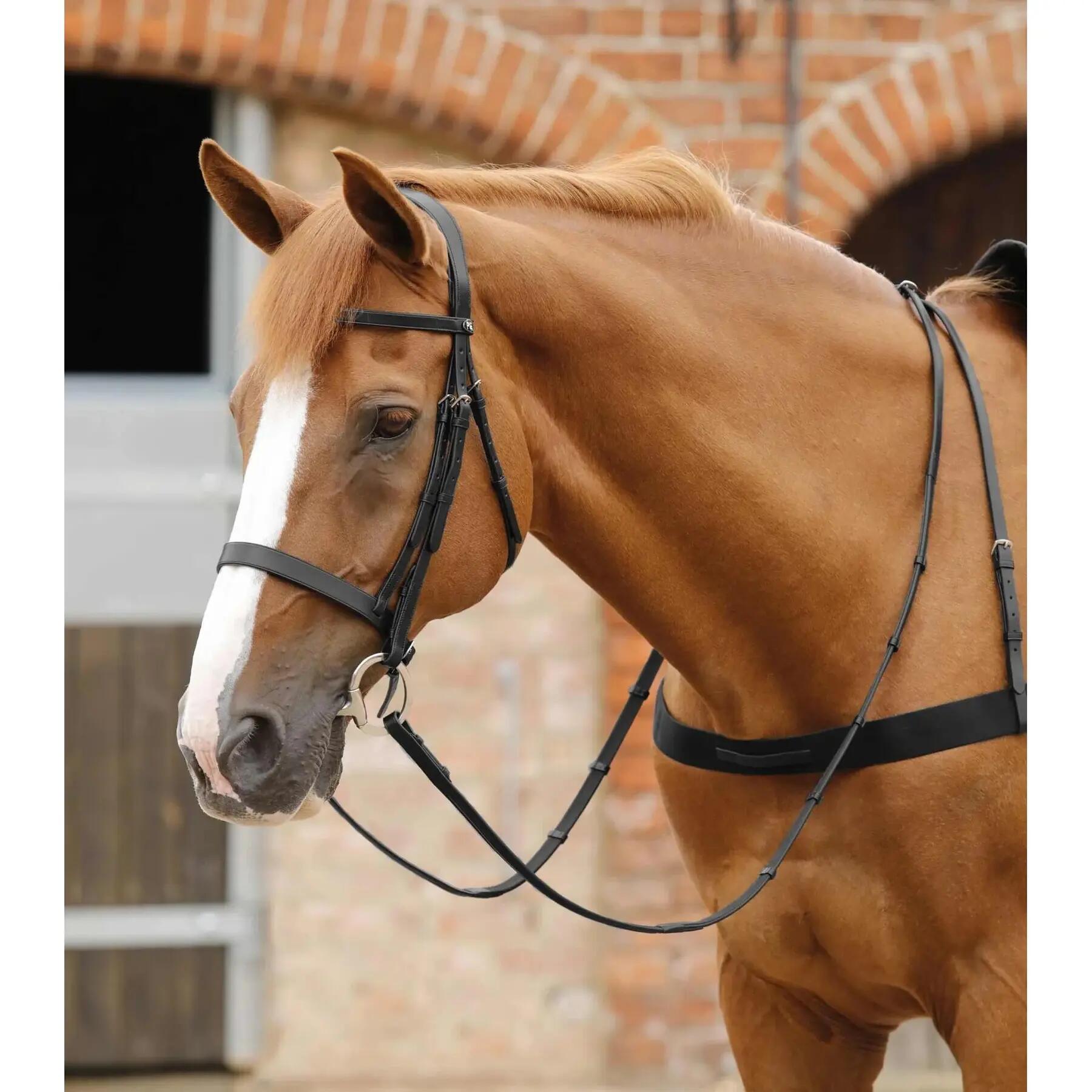 Redini in cuoio con impugnatura Premier Equine Salvatore 2/5