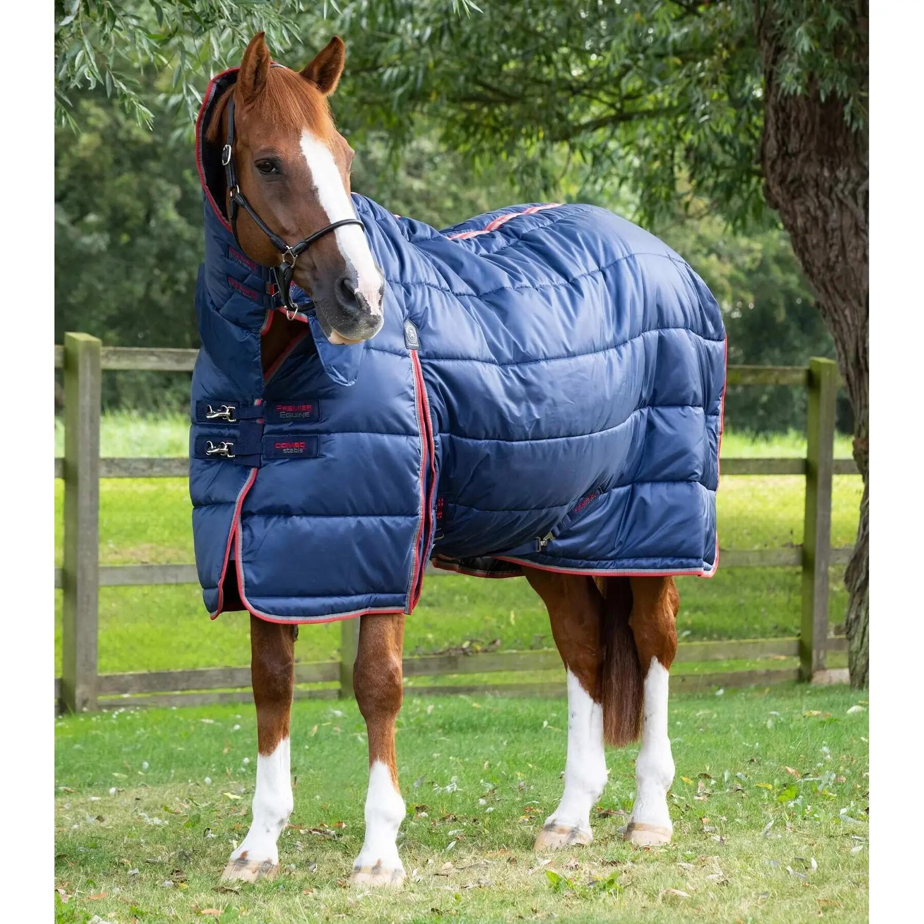 PREMIER EQUINE picture