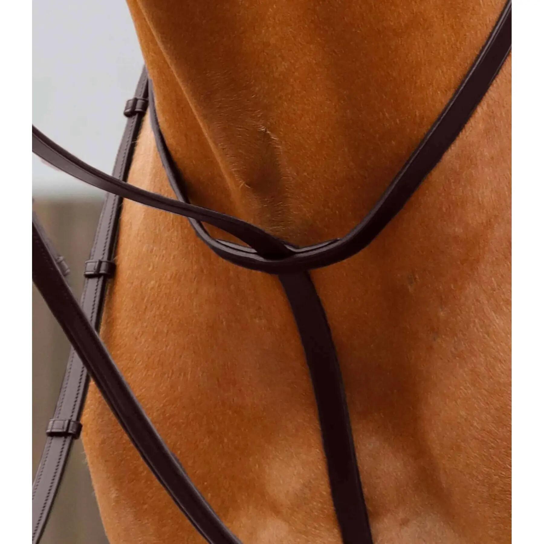 Martingale voor paarden Premier Equine Gressan 3/4