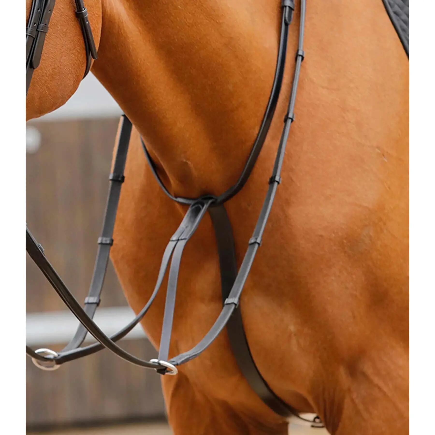 Martingala per cavalli Premier Equine Fuscaldo 4/4